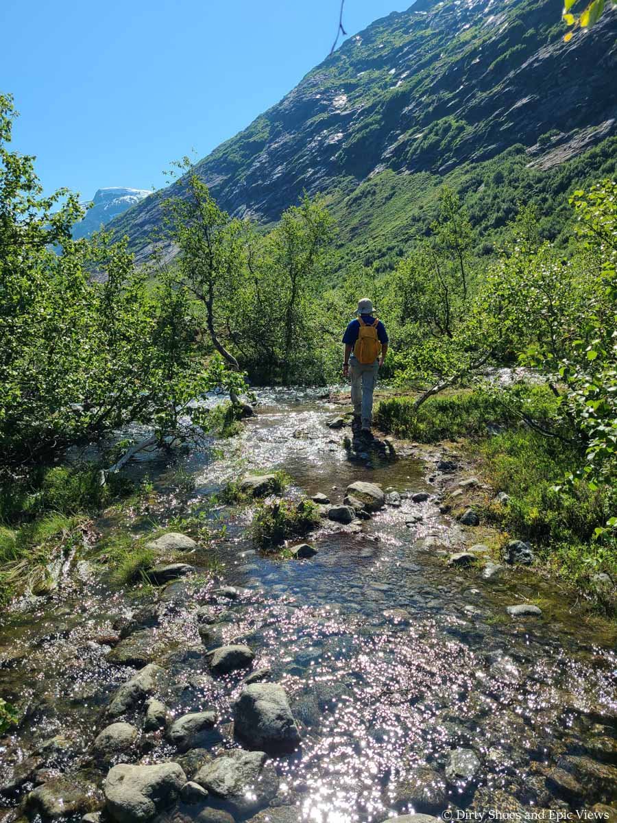 A hiker crosses a stream through brush along the Austerdalsbreen hike in Norway