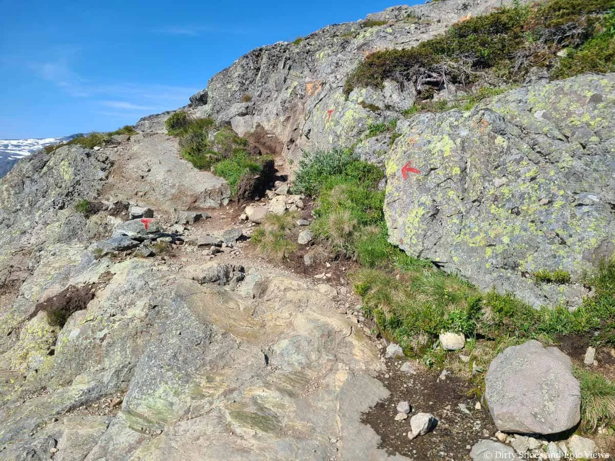 Red Ts marks the trail through a rocky landscape on the Besseggen Ridge trail