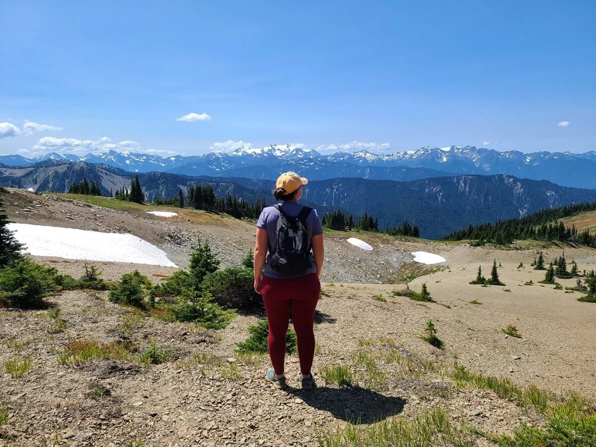 A hiker looks out over mountains near Obstruction Point in Olympic National Park