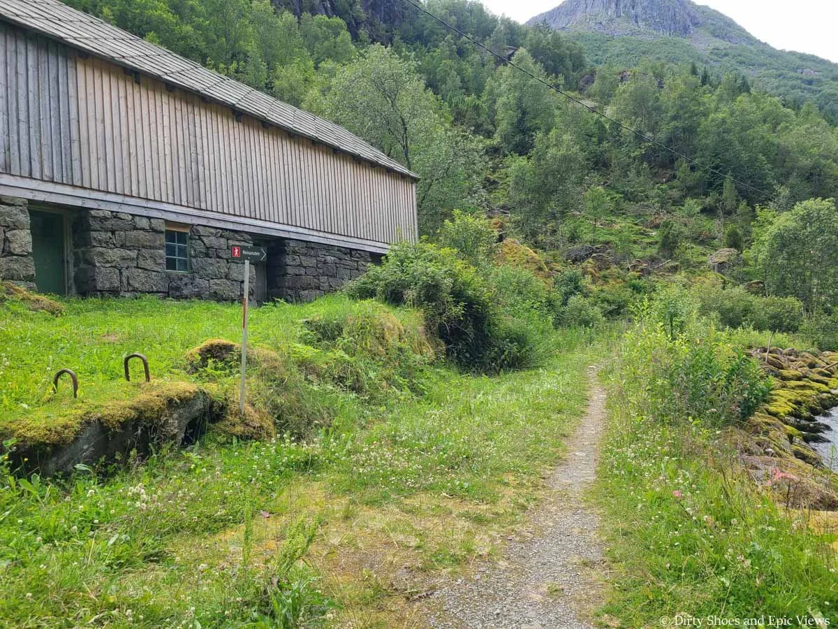 A narrow path leads through low shrub and grass on the Reinanuten hike in Norway