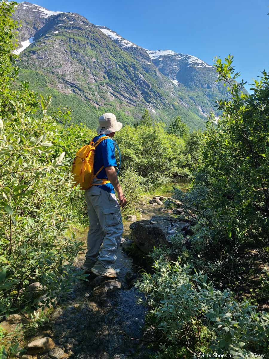 A hiker rock hops across water running through thick brush on the Austerdalsbreen hike