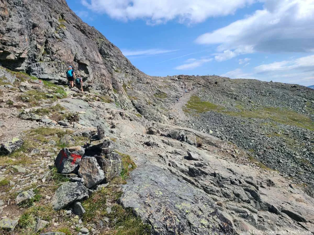A red T marks a rock along a faint herd path on the Besseggen Ridge hike