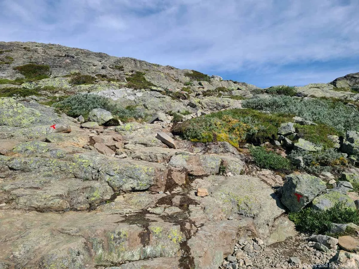 Red Ts marks rocks along the Besseggen Ridge trail in Norway