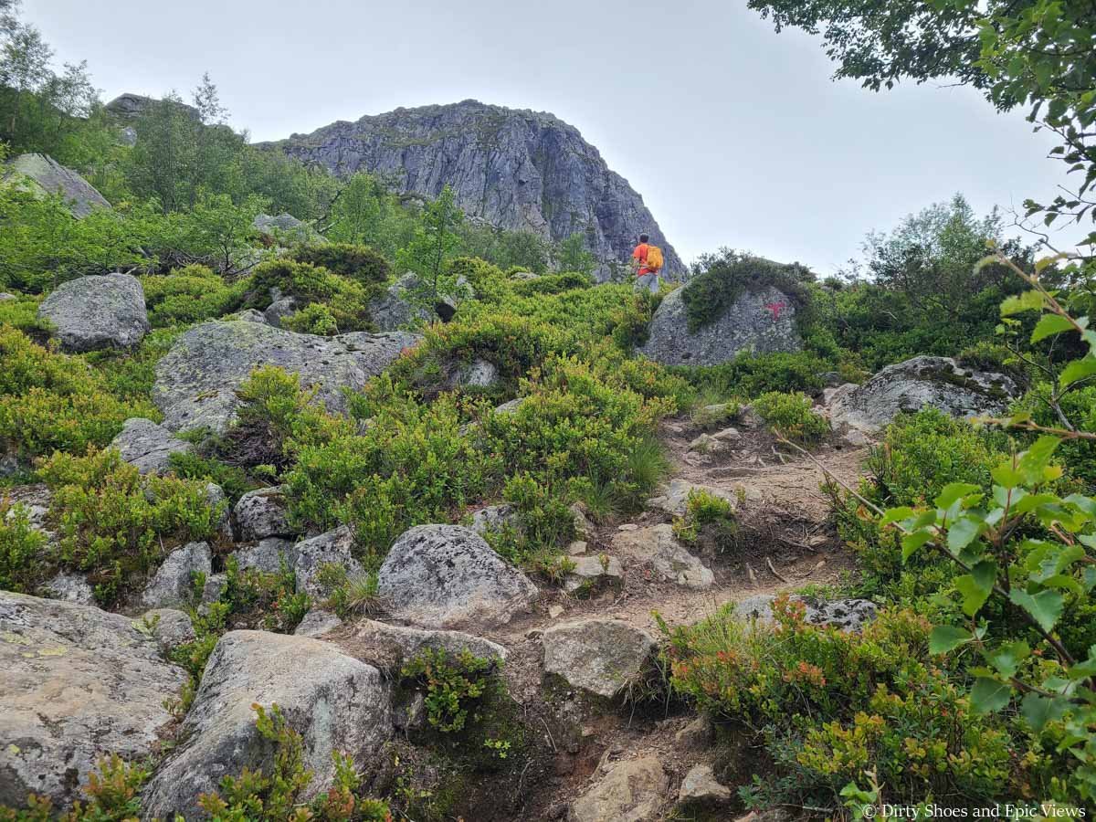 A hiker ascends a steep rocky path as it leaves treeline on the Reinanuten hike in Norway