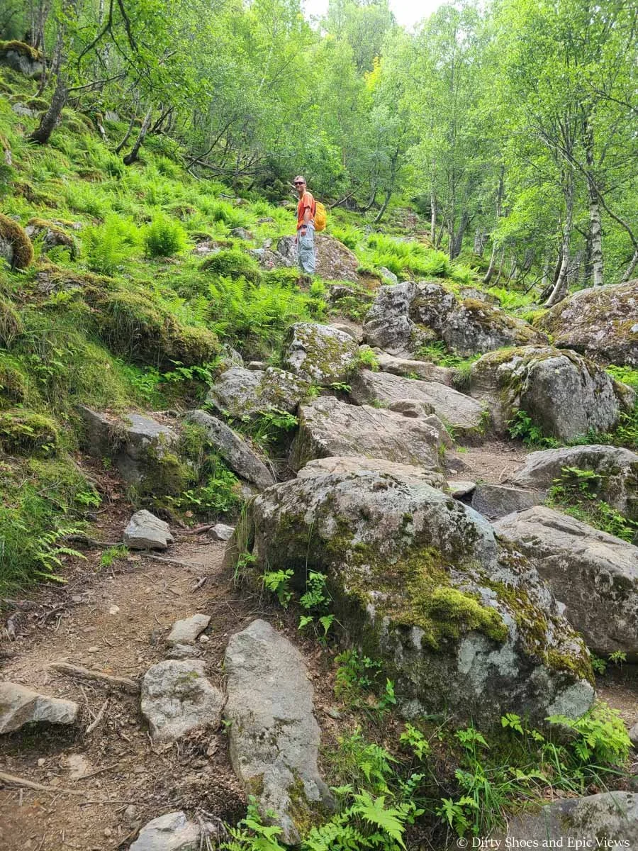 A hiker ascends a steep rocky path through lush green forest on the Reinanuten trail in Norway