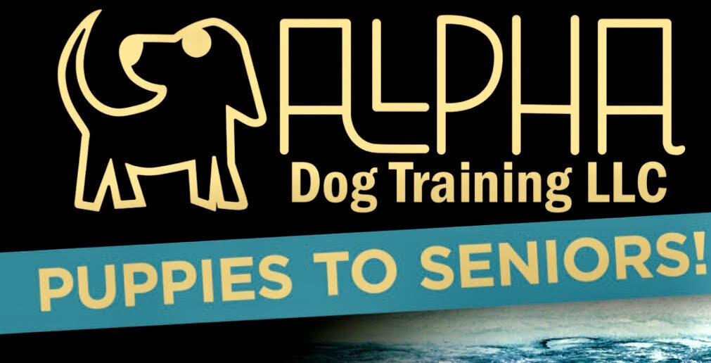 alpha dog training.jpg