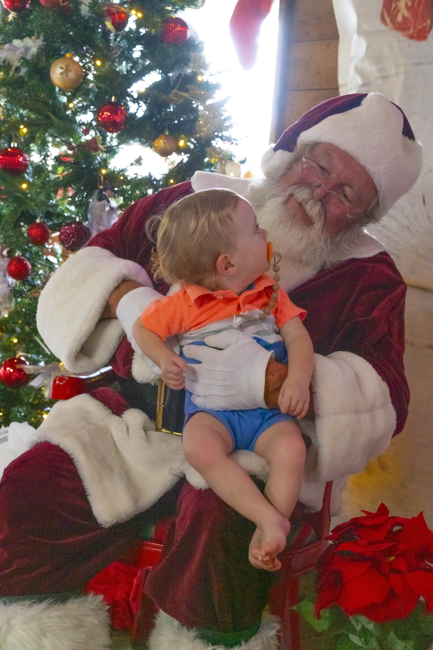 Chasin A dream Santa230 WEB .jpg