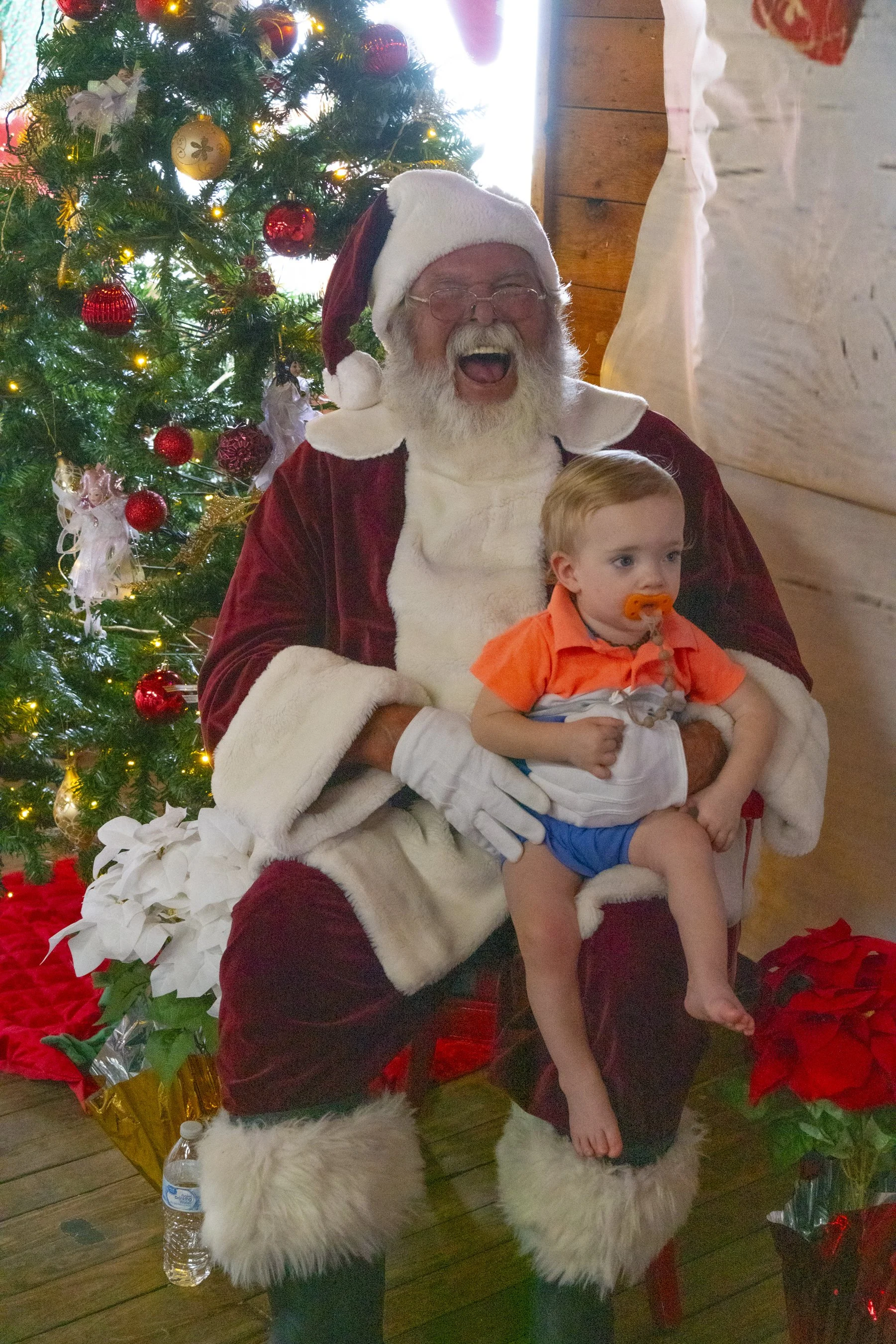 Chasin A dream Santa237 WEB .jpg