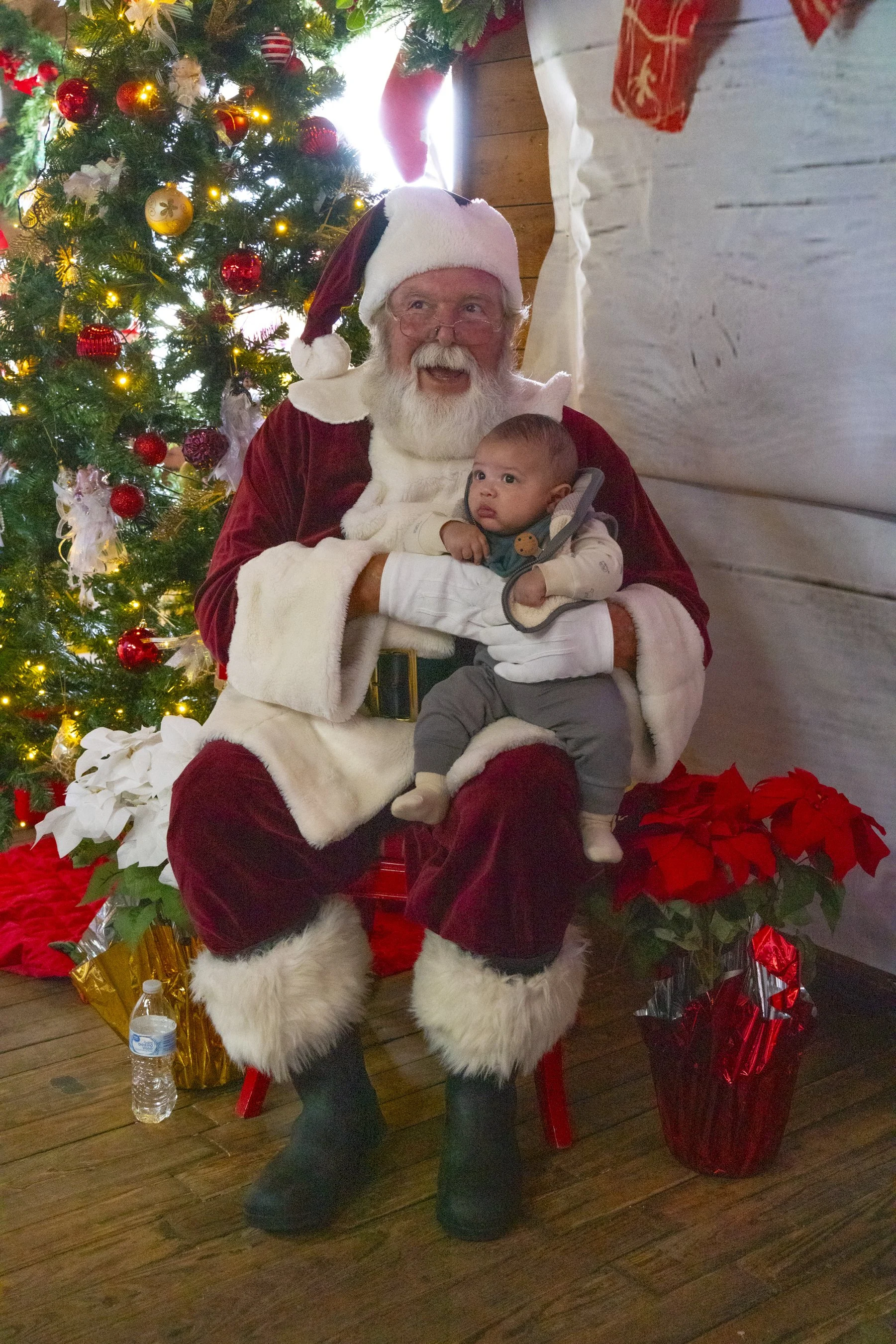 Chasin A dream Santa246 WEB .jpg