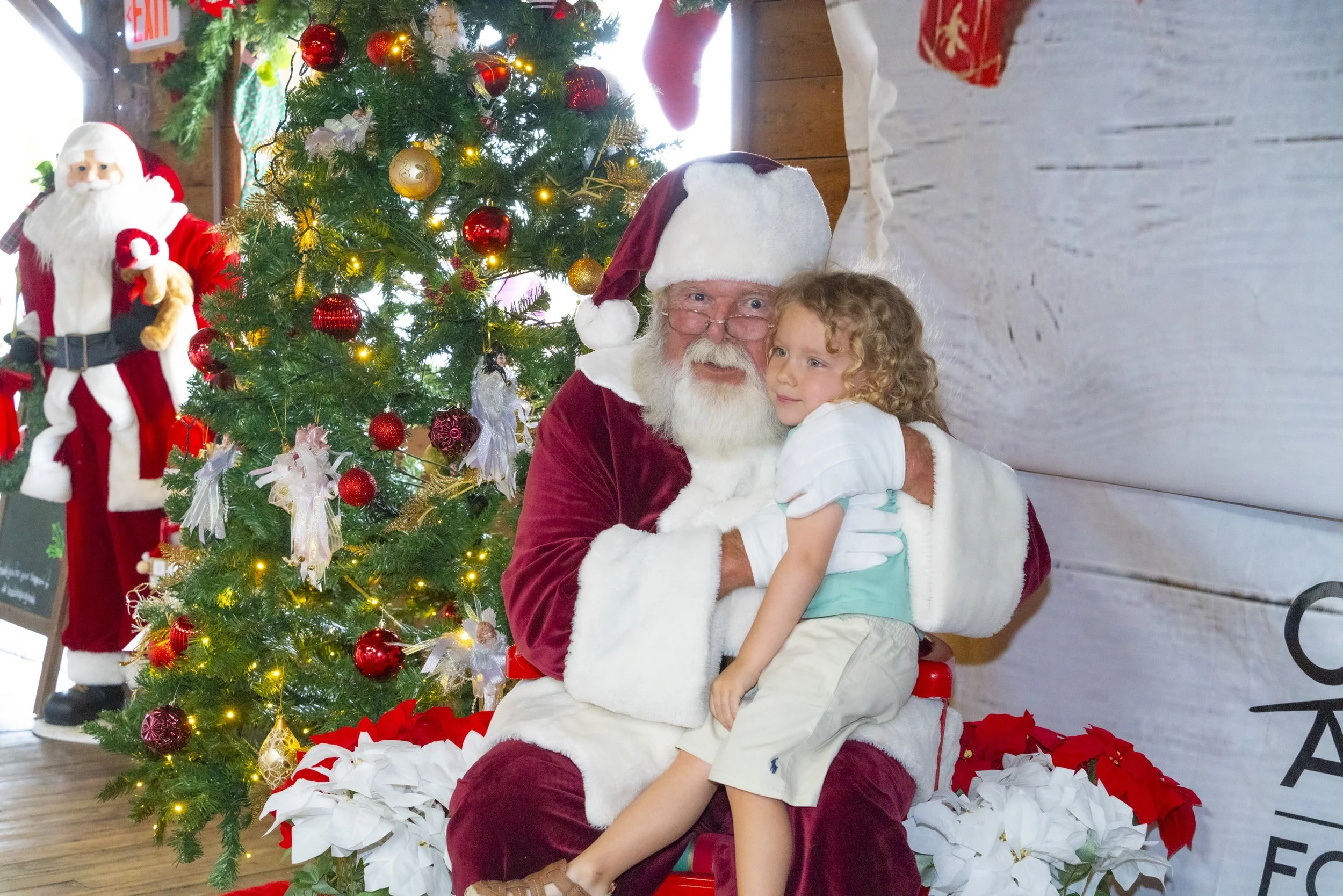 Chasin A dream Santa130 WEB .jpg