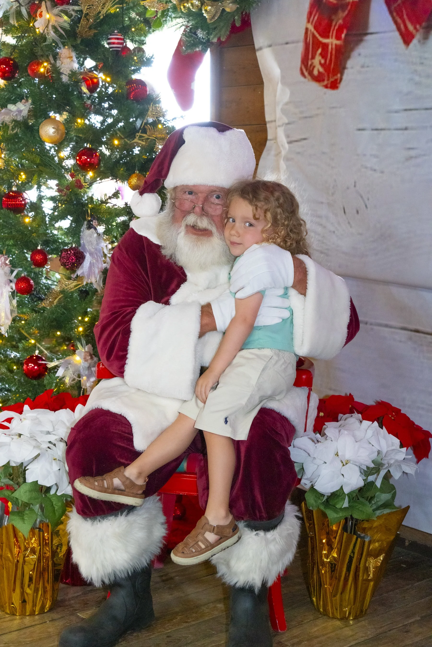 Chasin A dream Santa131 WEB .jpg