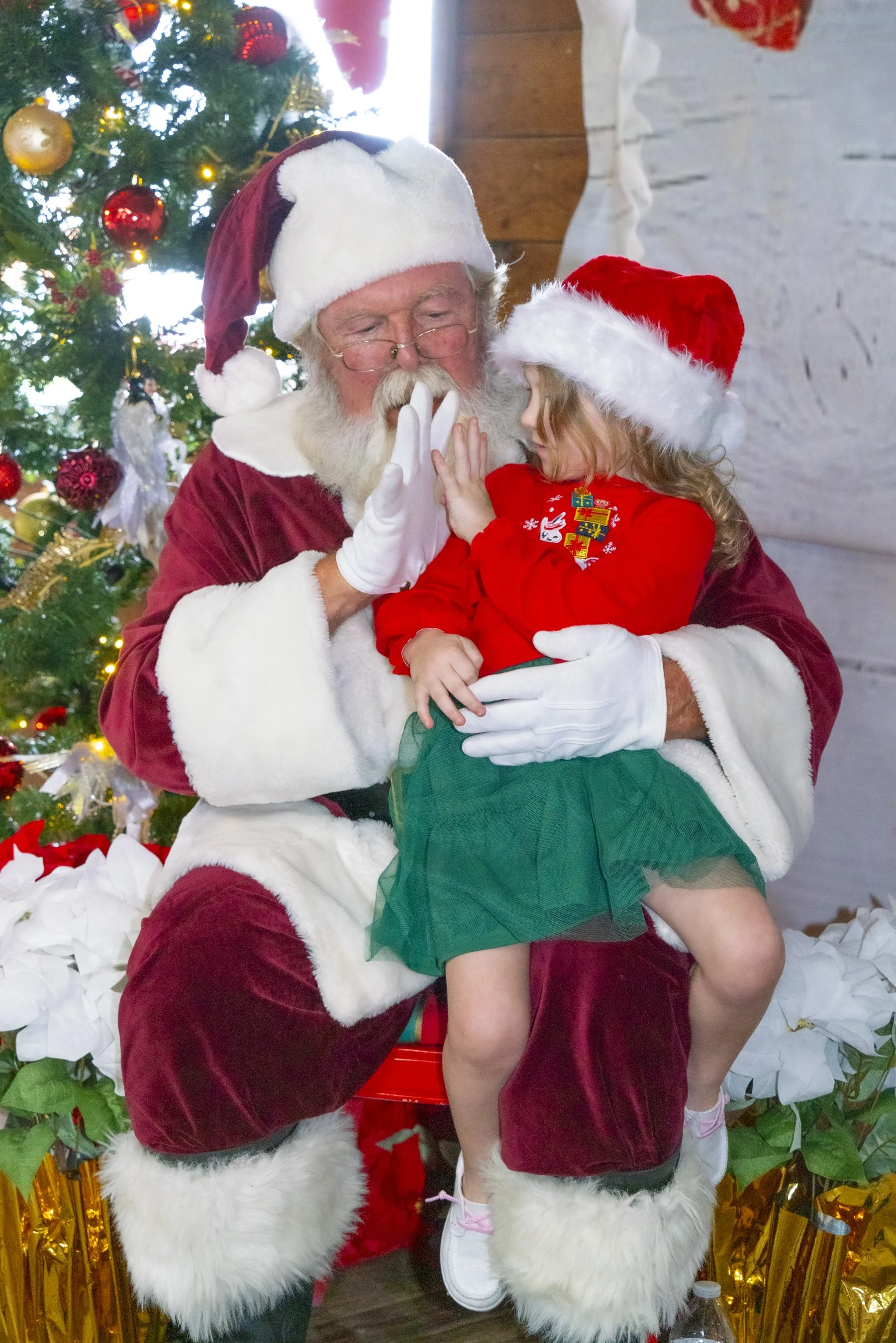 Chasin A dream Santa200 WEB .jpg