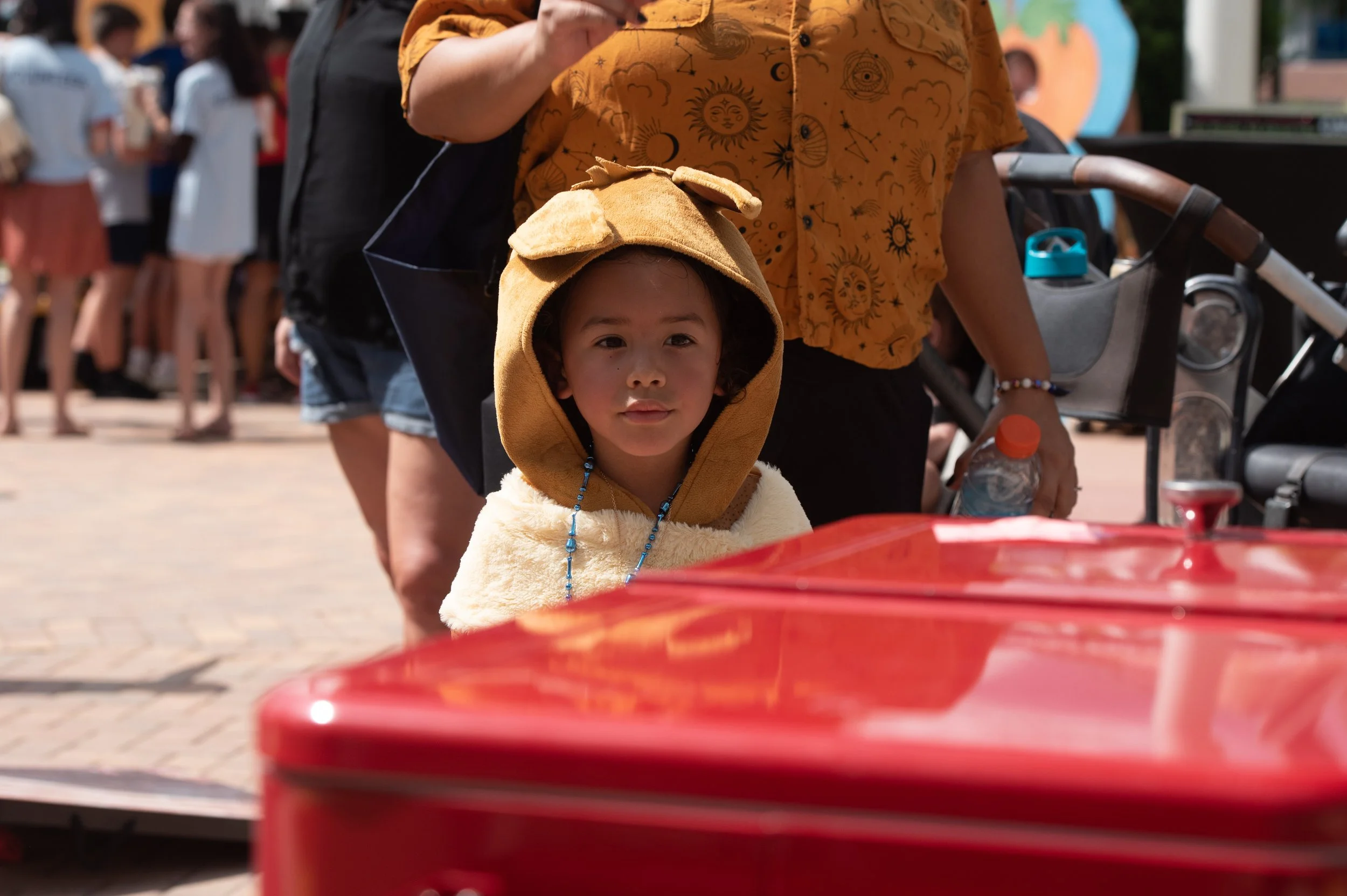 _DSC9295.jpg