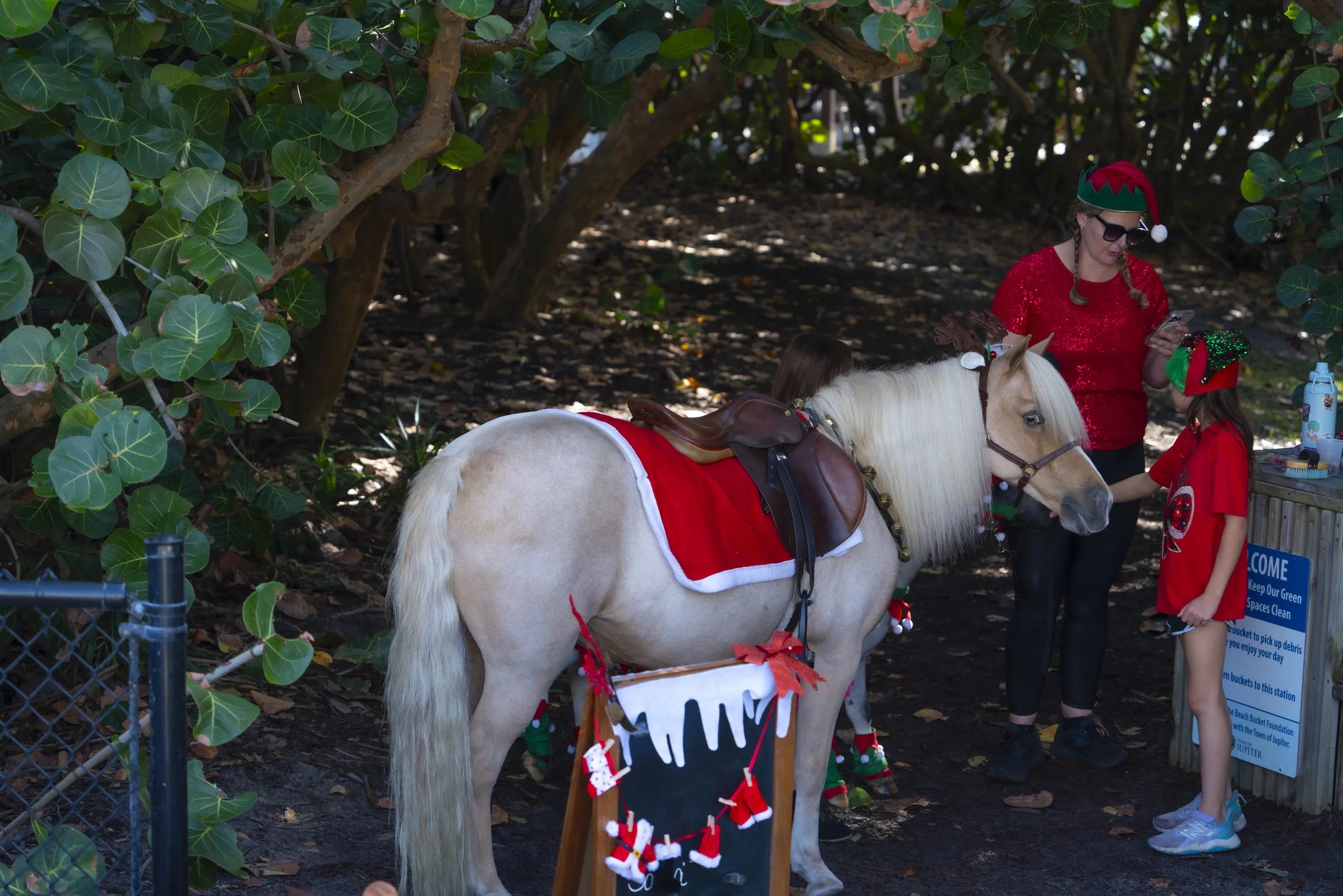 Chasin A dream Santa482 WEB .jpg