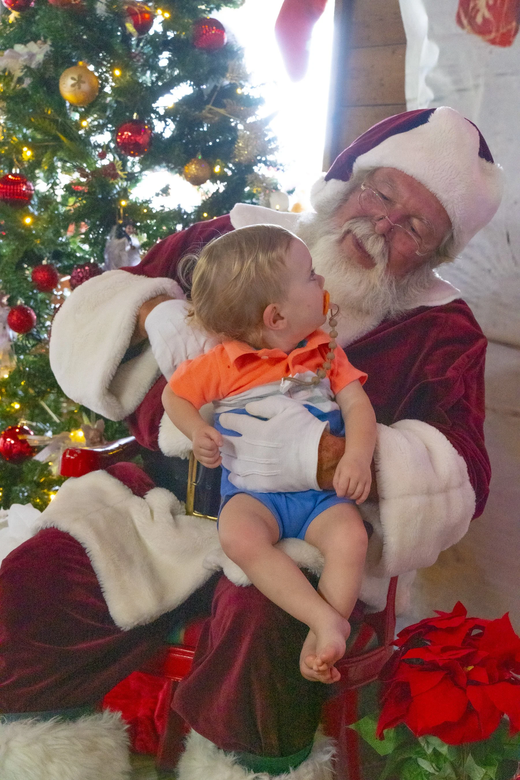 Chasin A dream Santa231 WEB .jpg