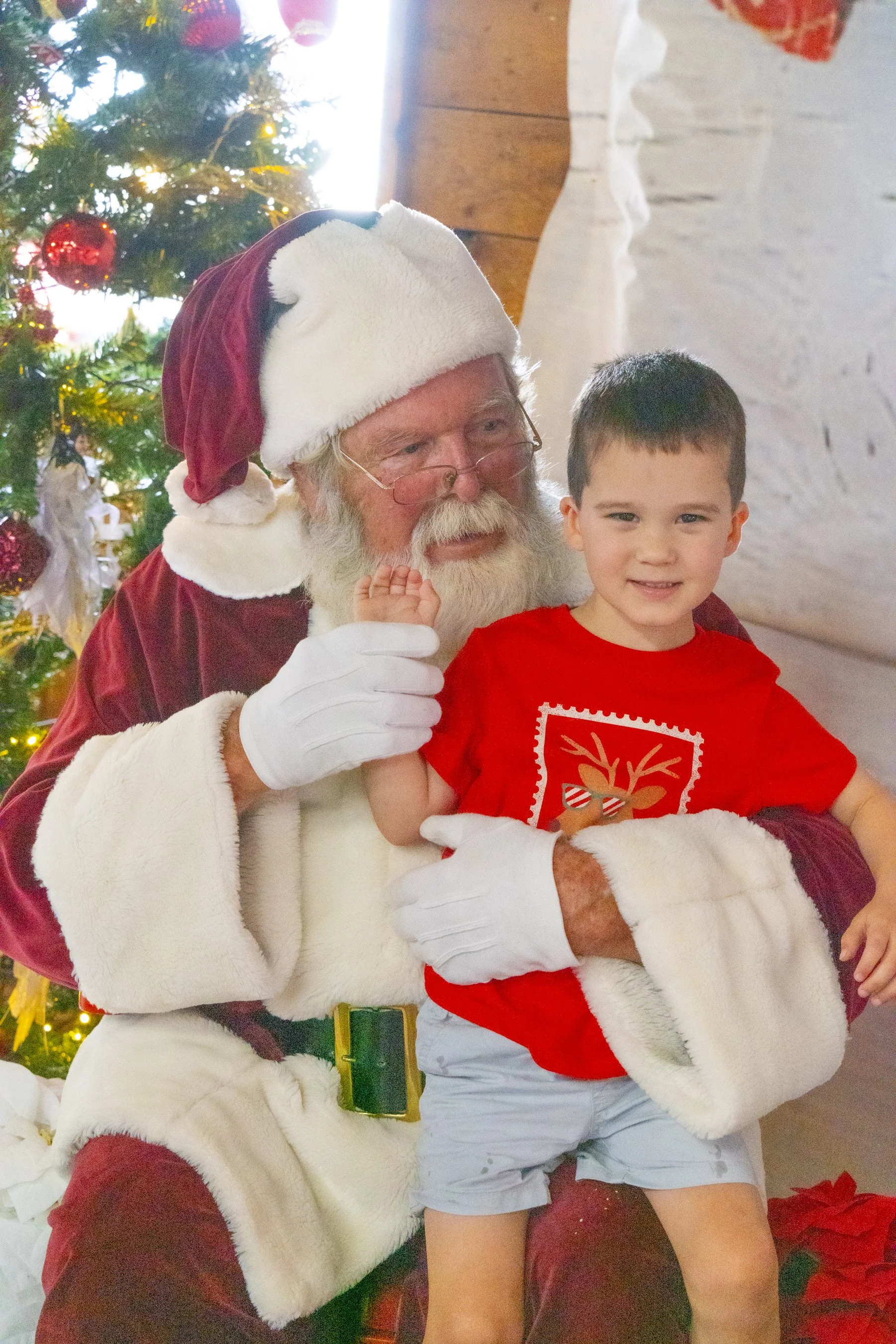 Chasin A dream Santa251 WEB .jpg