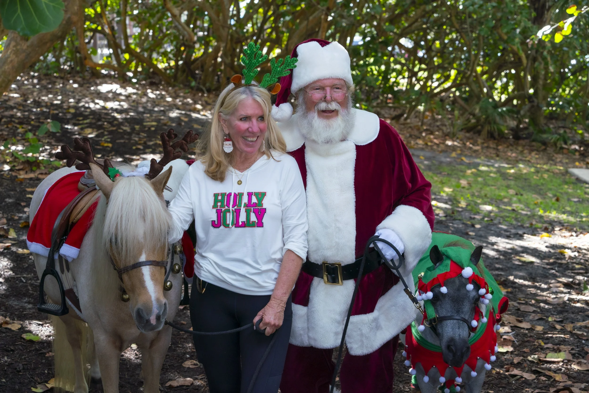 Chasin A dream Santa328 WEB .jpg