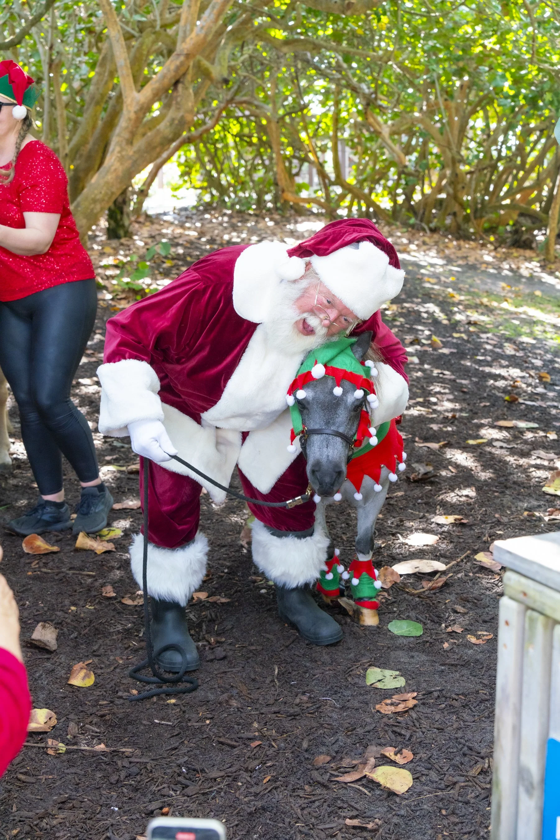 Chasin A dream Santa325 WEB .jpg