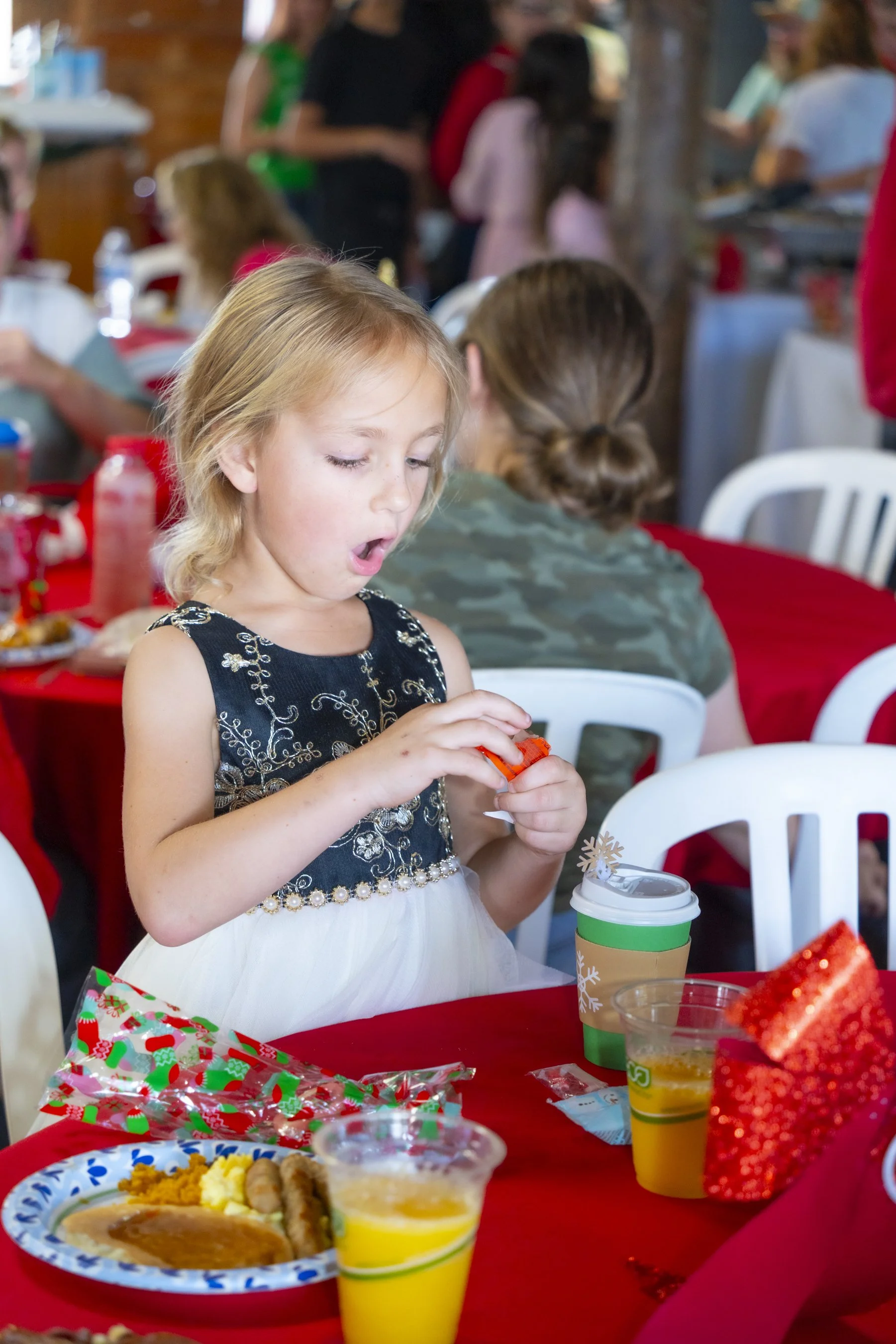 Chasin A dream Santa435 WEB .jpg