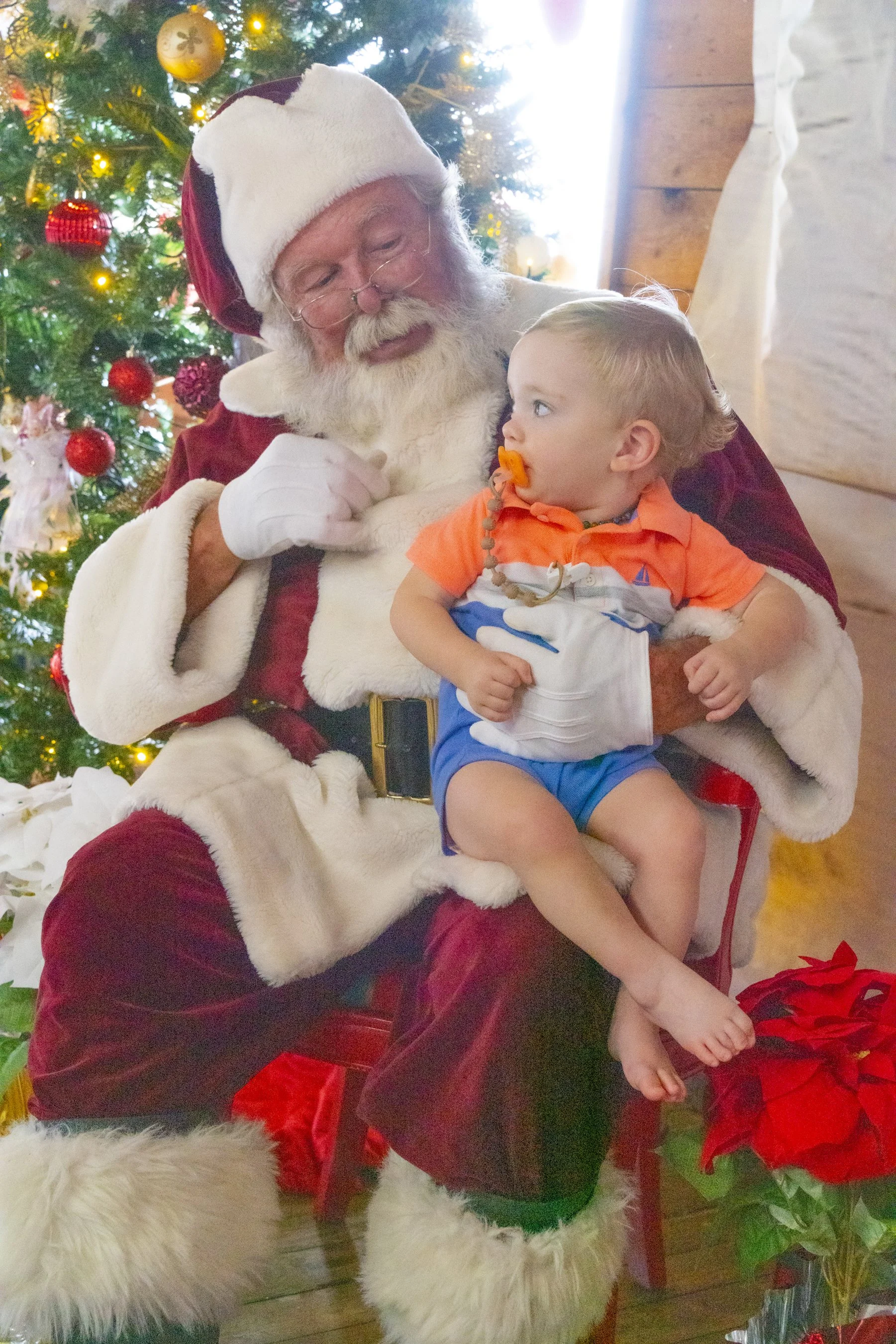 Chasin A dream Santa233 WEB .jpg