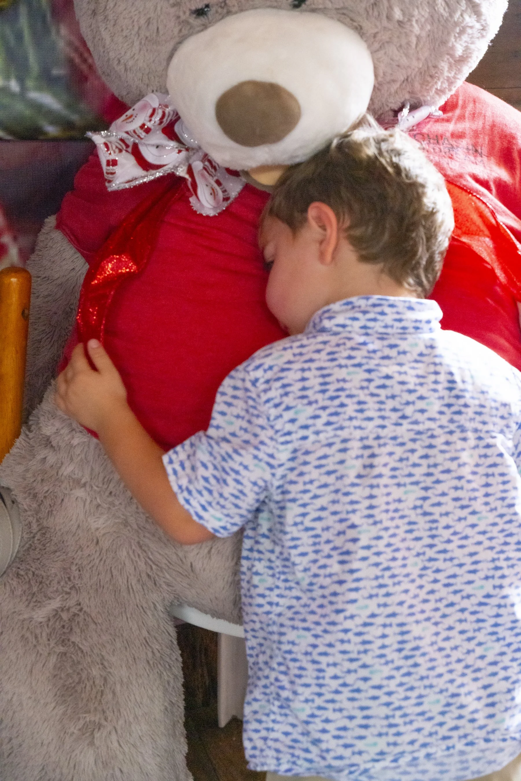 Chasin A dream Santa316 WEB .jpg