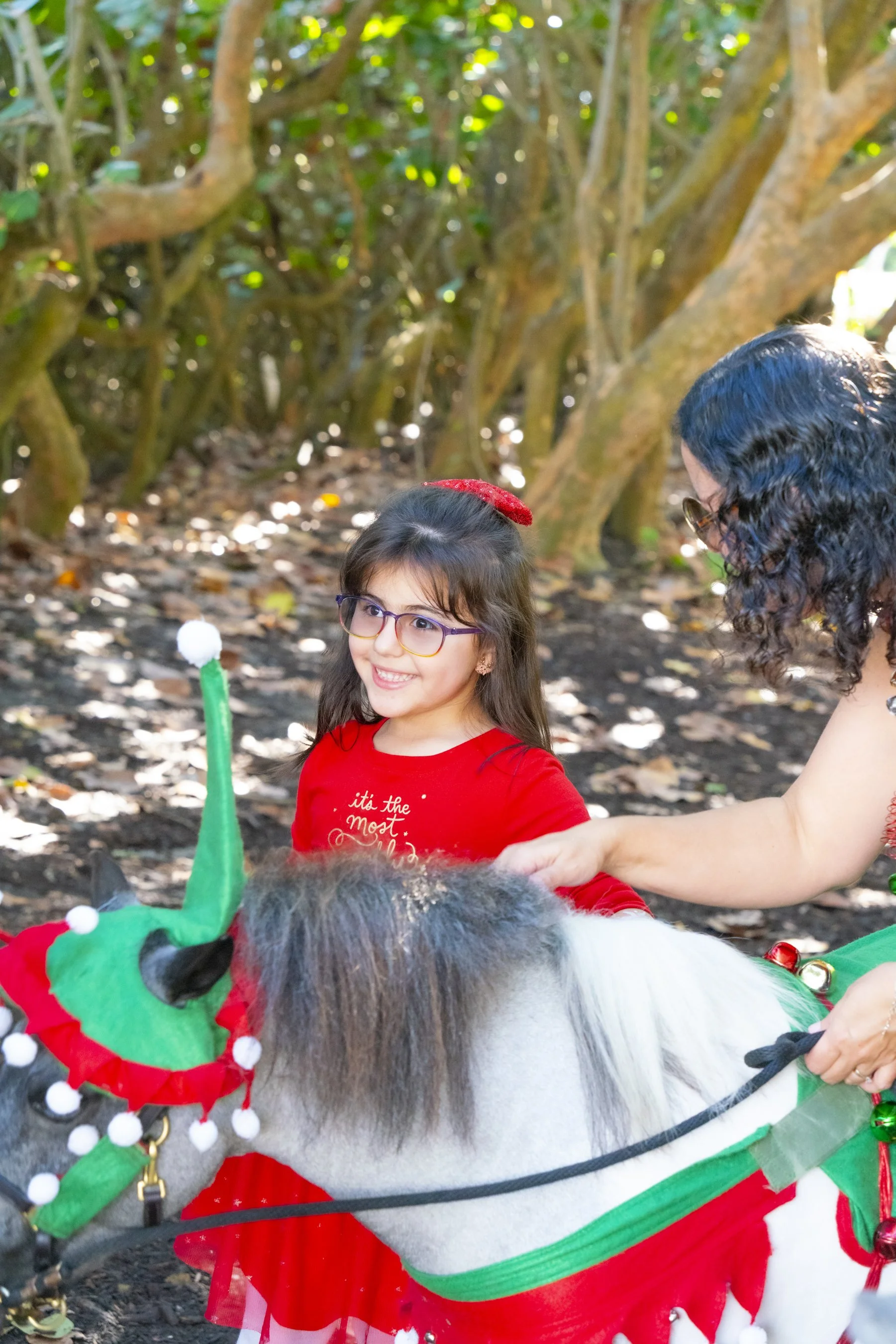 Chasin A dream Santa344 WEB .jpg