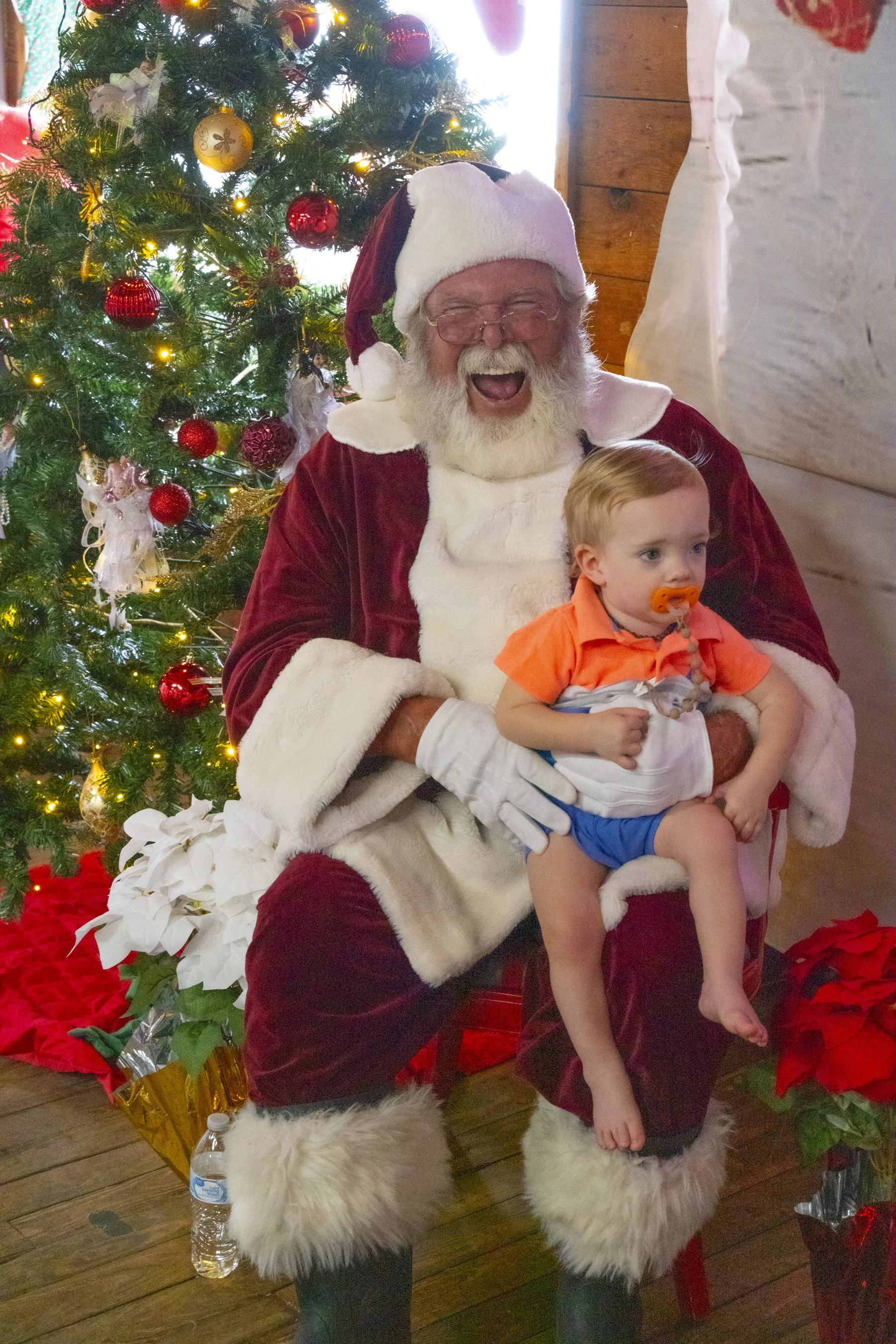 Chasin A dream Santa238 WEB .jpg