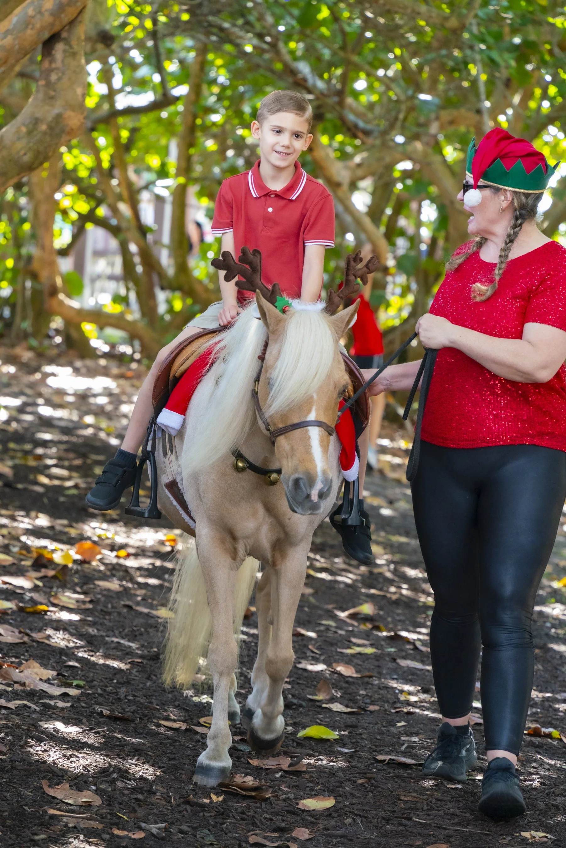 Chasin A dream Santa337 WEB .jpg