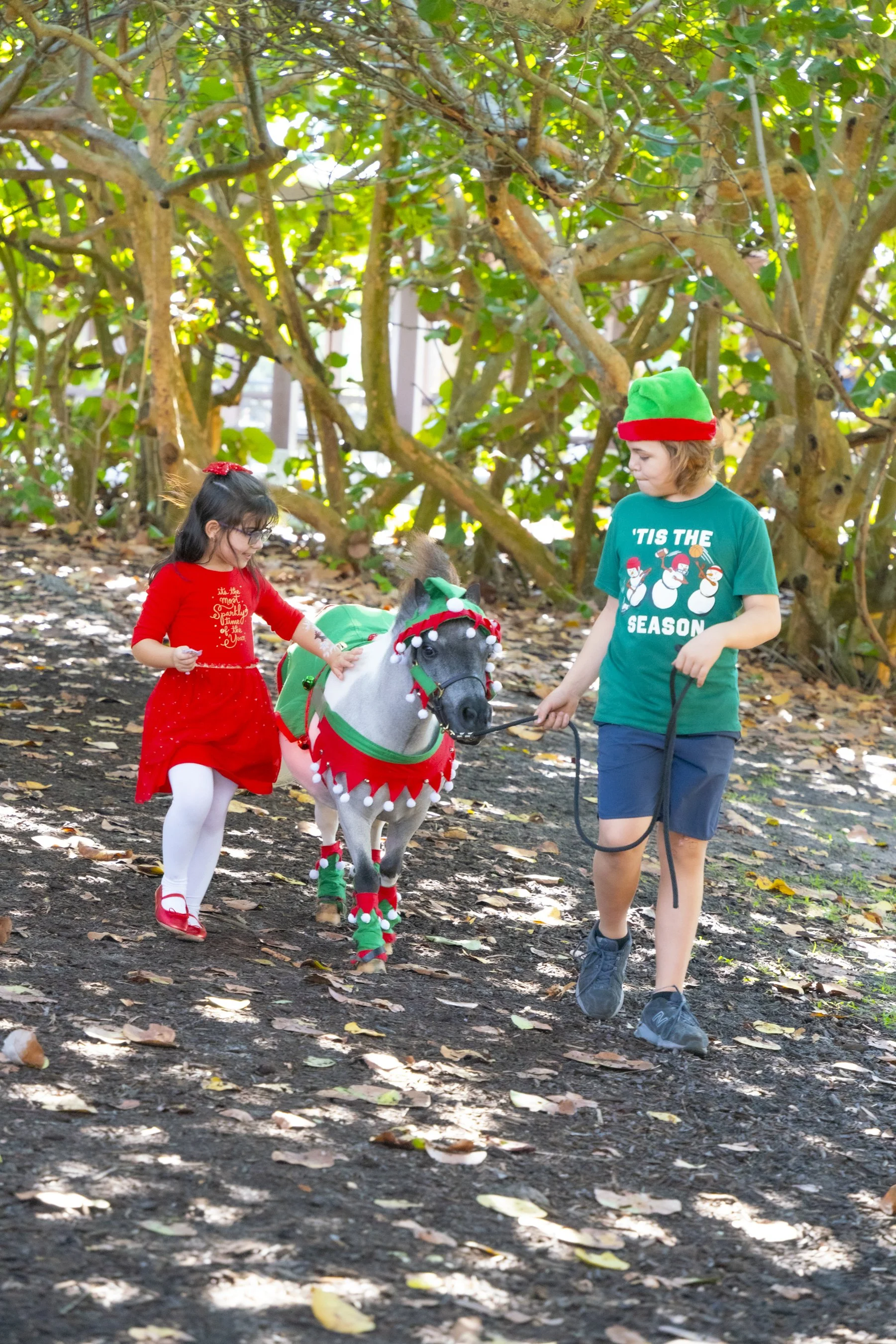 Chasin A dream Santa342 WEB .jpg