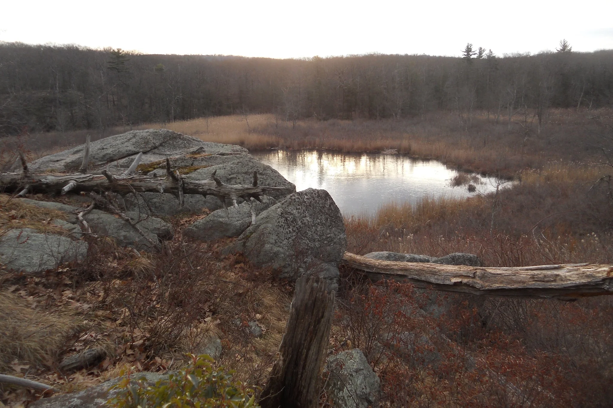 green-pond-winter.jpg
