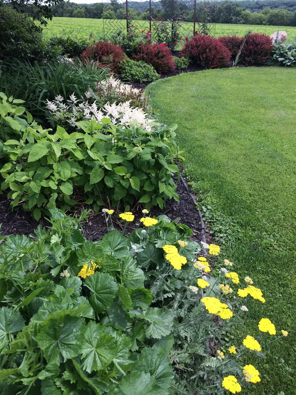 Are you creating your future through compassion or judgment?