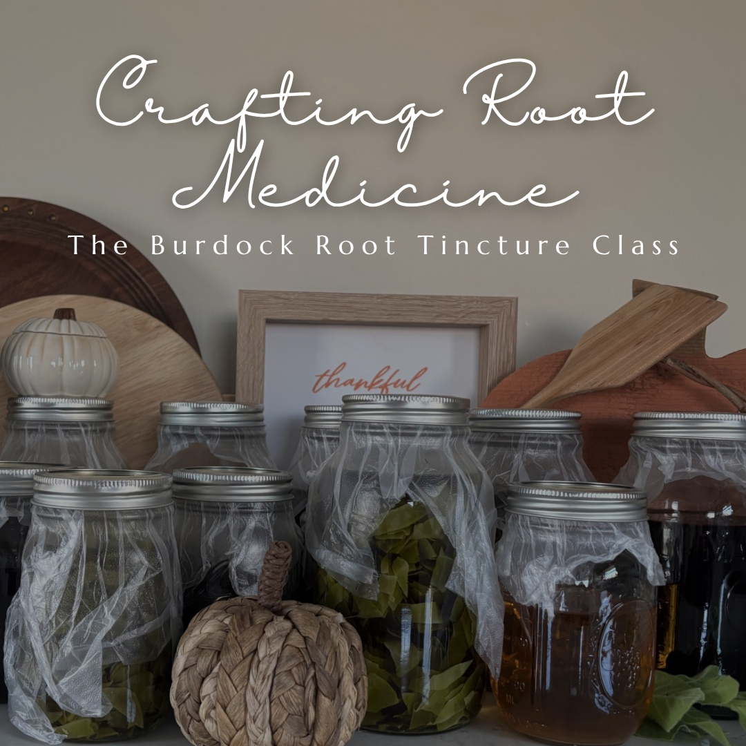 Crafting Root Medicine: The Burdock Root Tincture Class