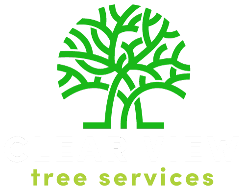 tree removal in Chilliwack