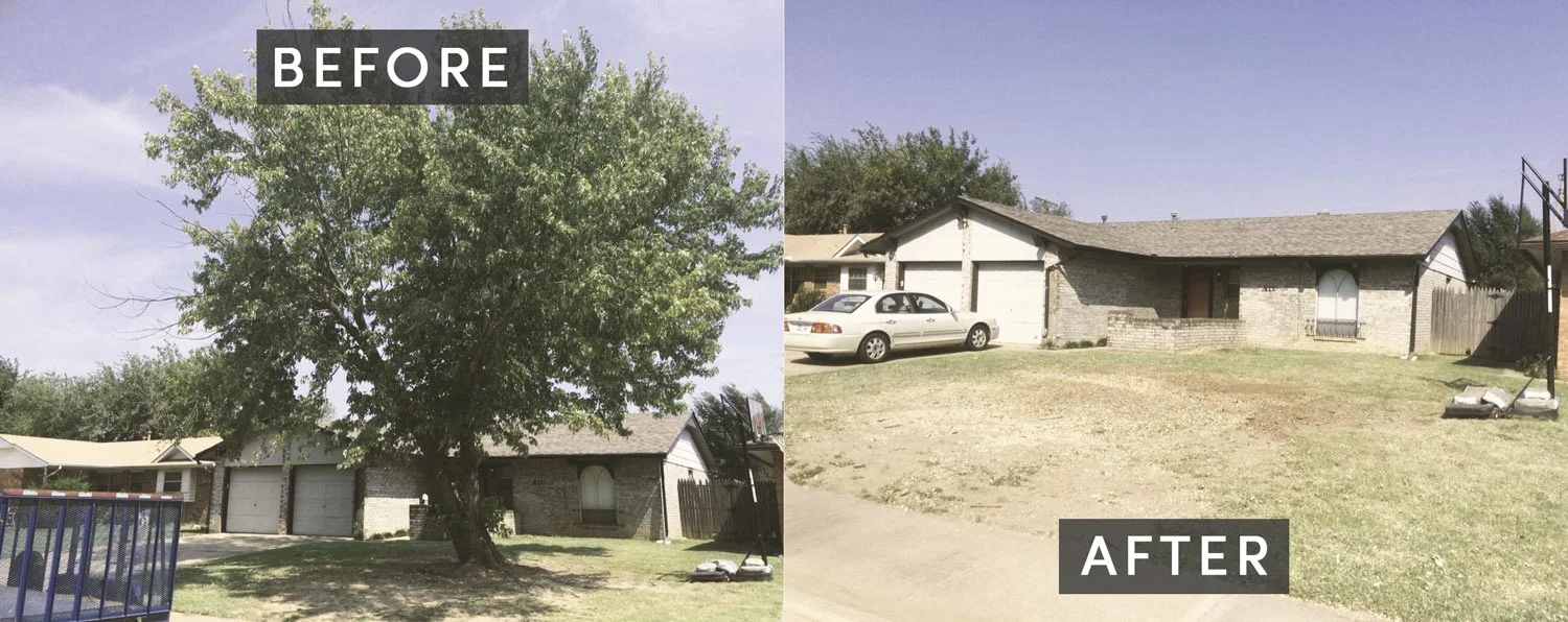 Tree removal, before &amp; after