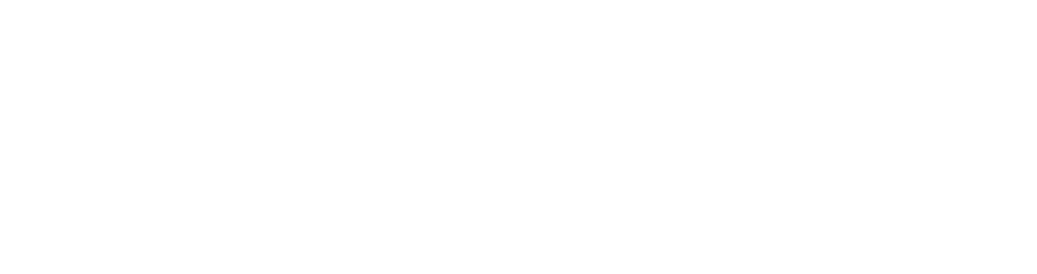 Visionary Logos-04.png