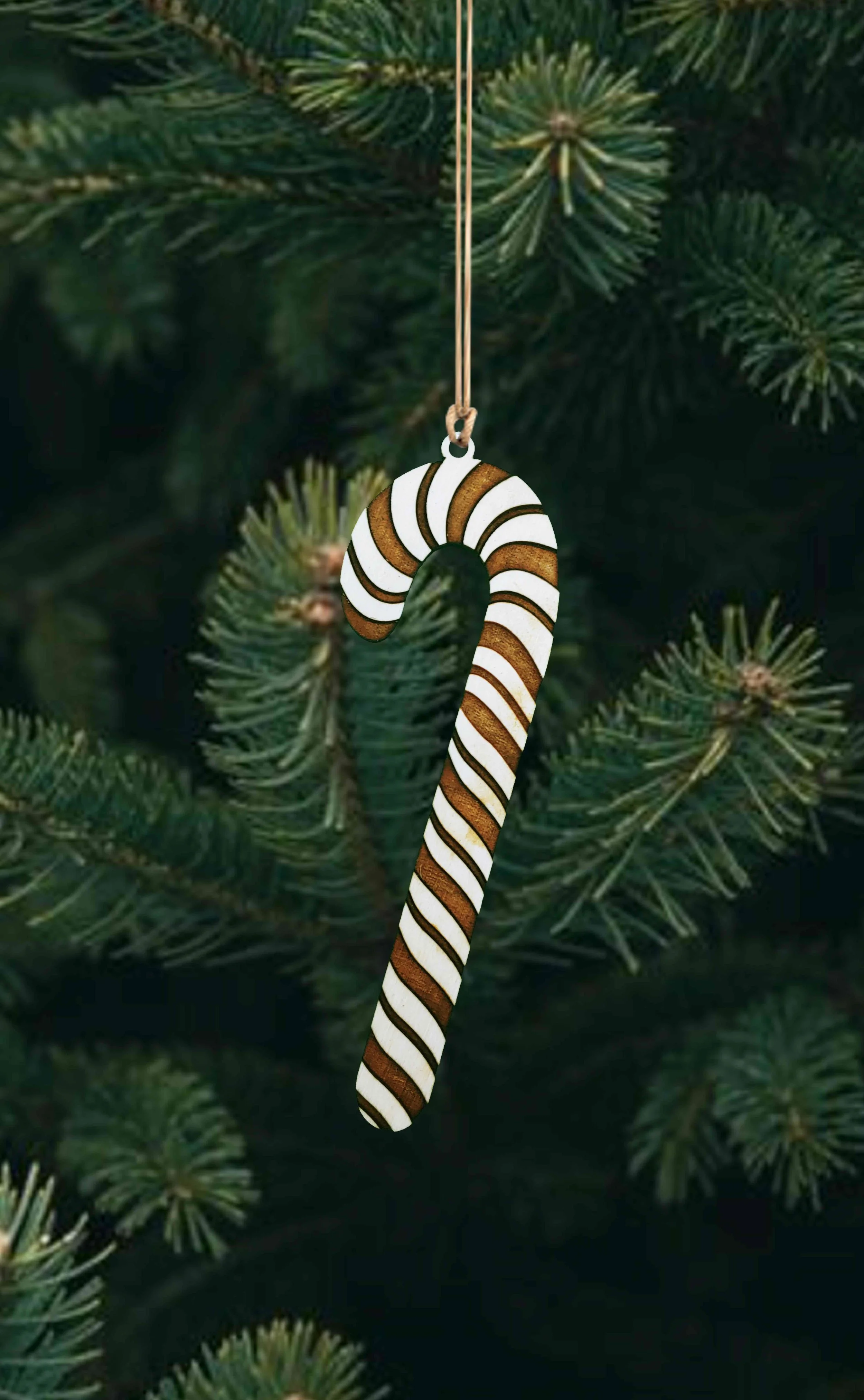 Wholesale + Striped Candy Cane (Quantity of 15)
