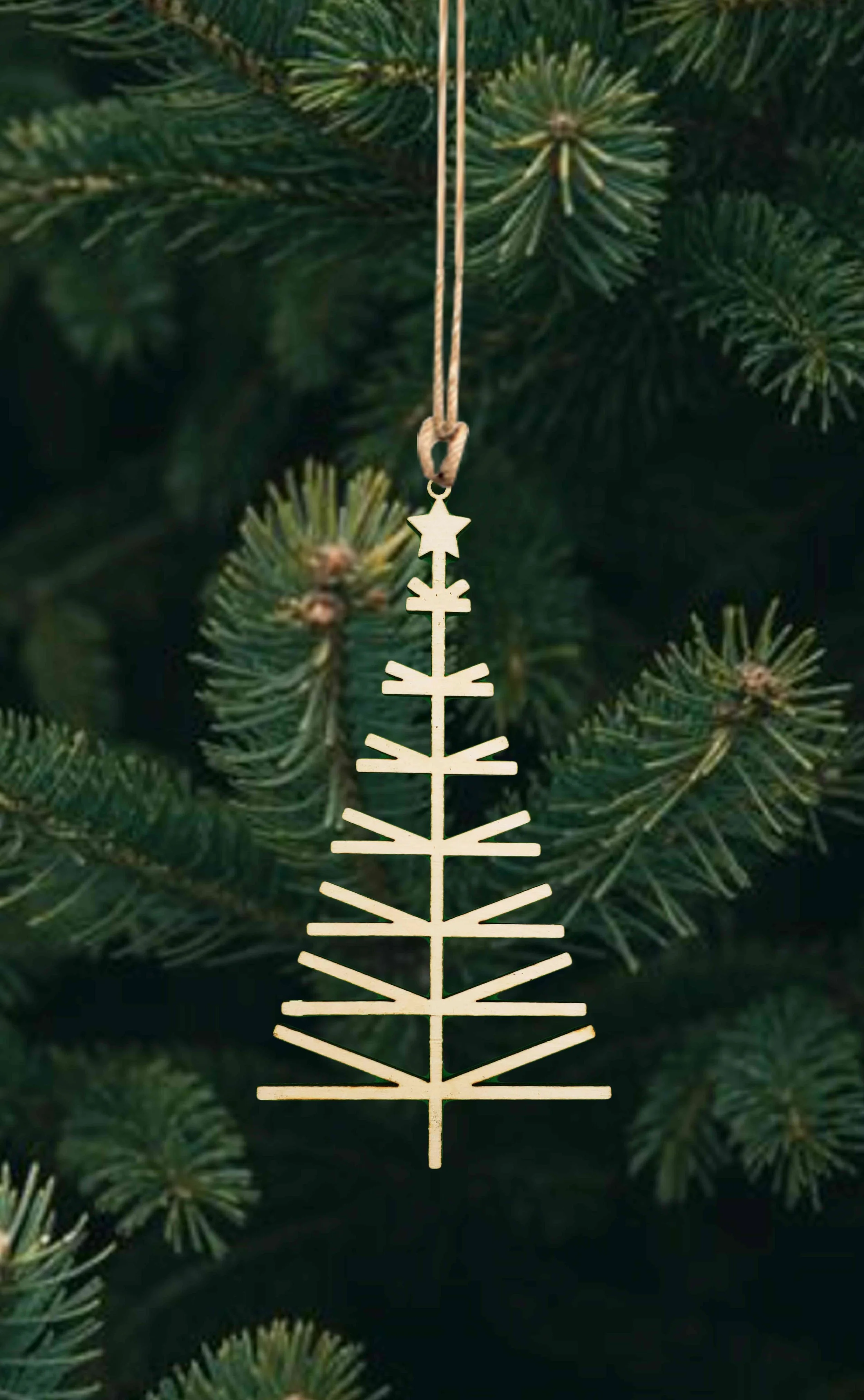 Wholesale + Small Linear Tree (Quantity of 15)