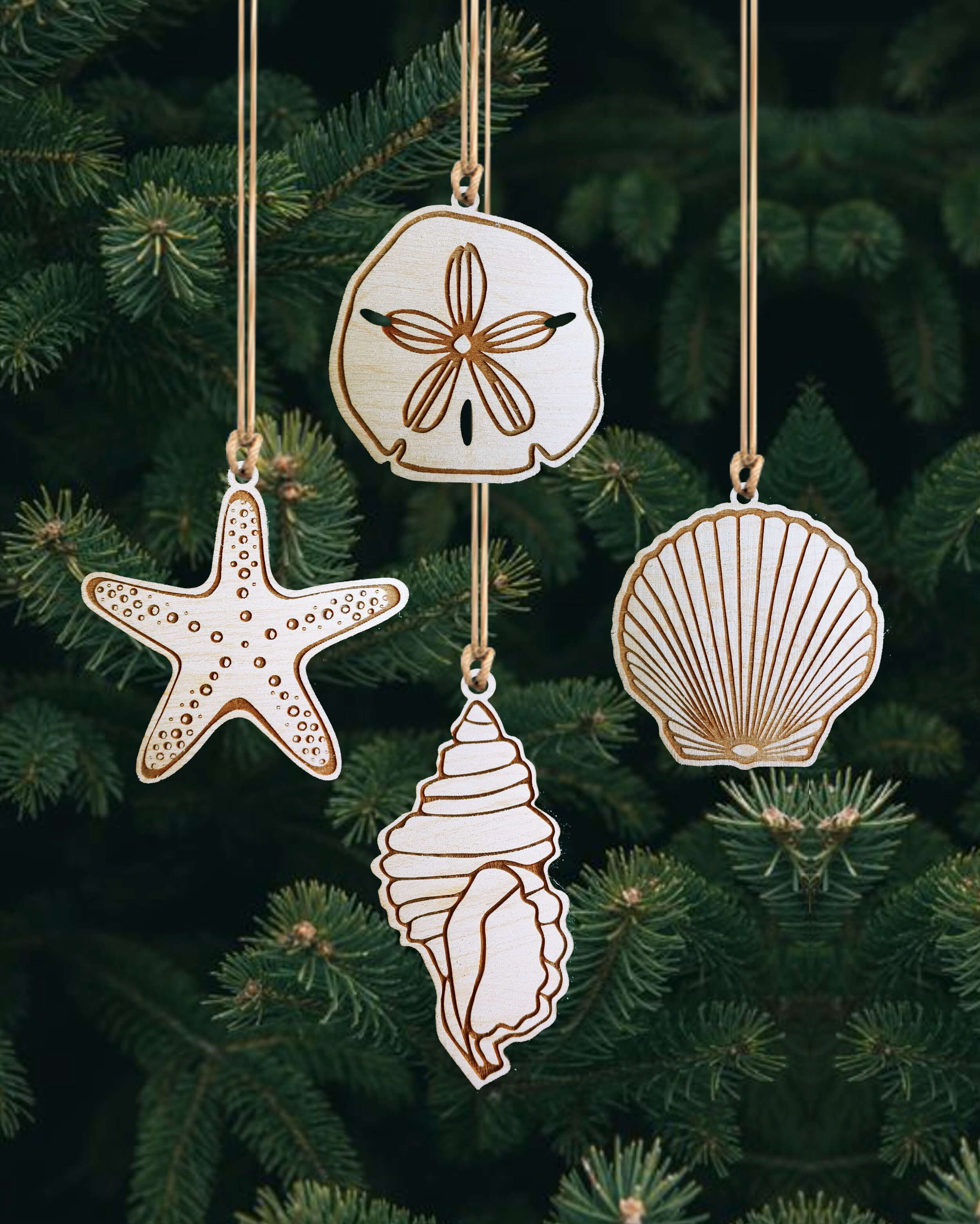 Seashell Ornaments (Quantity of 15)