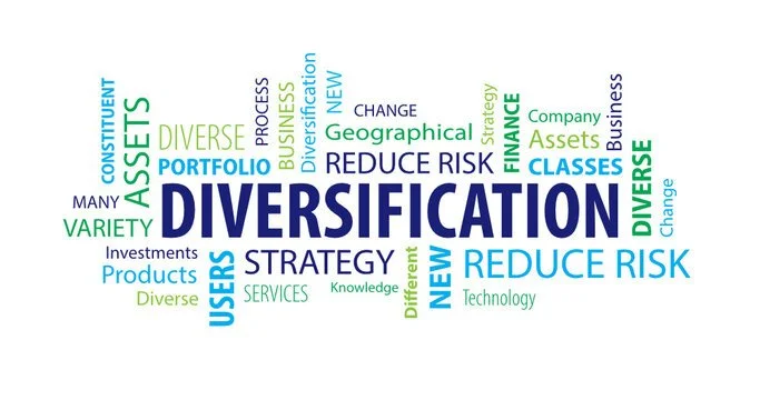 DIVERSIFICATION IN PRACTICE IN BLOCKCHAIN VENTURE CAPITAL