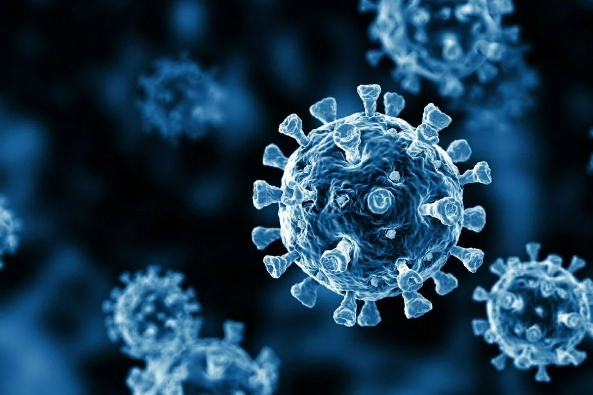 Short and Long Term Implications of Covid on Blockchain Investing