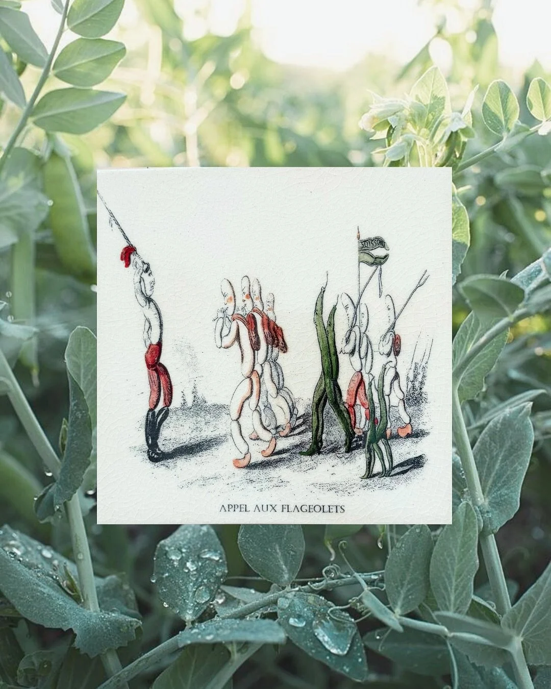 Equinox energy, garden-grown. 🌱🍂 Swipe to experience this whimsical deco series drawing from the bounty of the late-summer garden: beans, root veggies, tomatoes, and creativity. Proof that inspiration sprouts anywhere (yes, even flageolets). Deco T