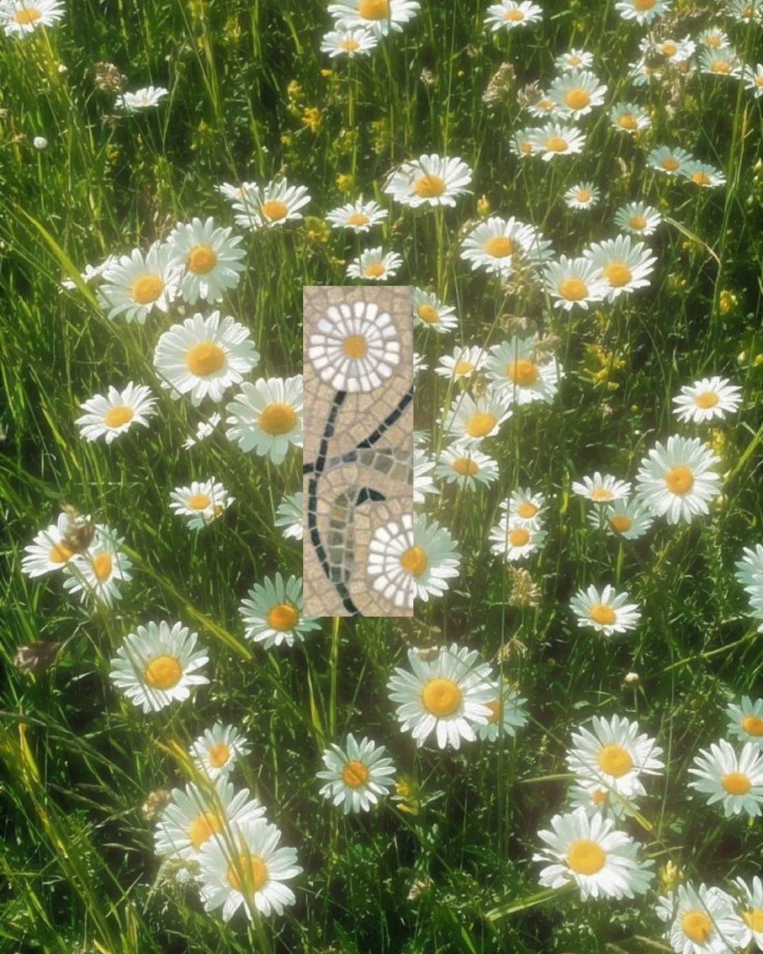 There&rsquo;s something about the way tile mimics nature&rsquo;s beauty&hellip;