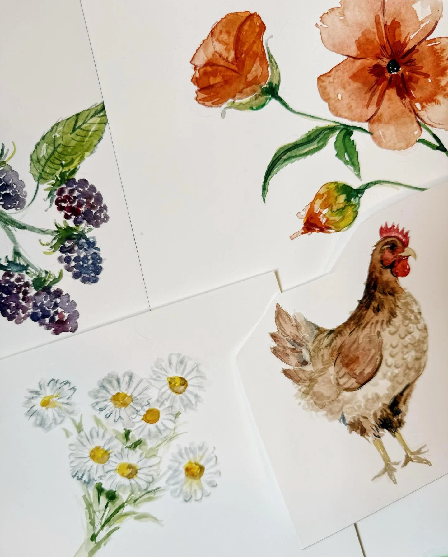 A few spot illustrations for a backyard wedding bar 🐓🧺🍓