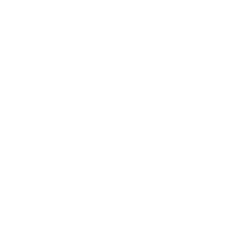 WSL_Wordmark_White.png