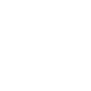 PantoneWordmark-white.png