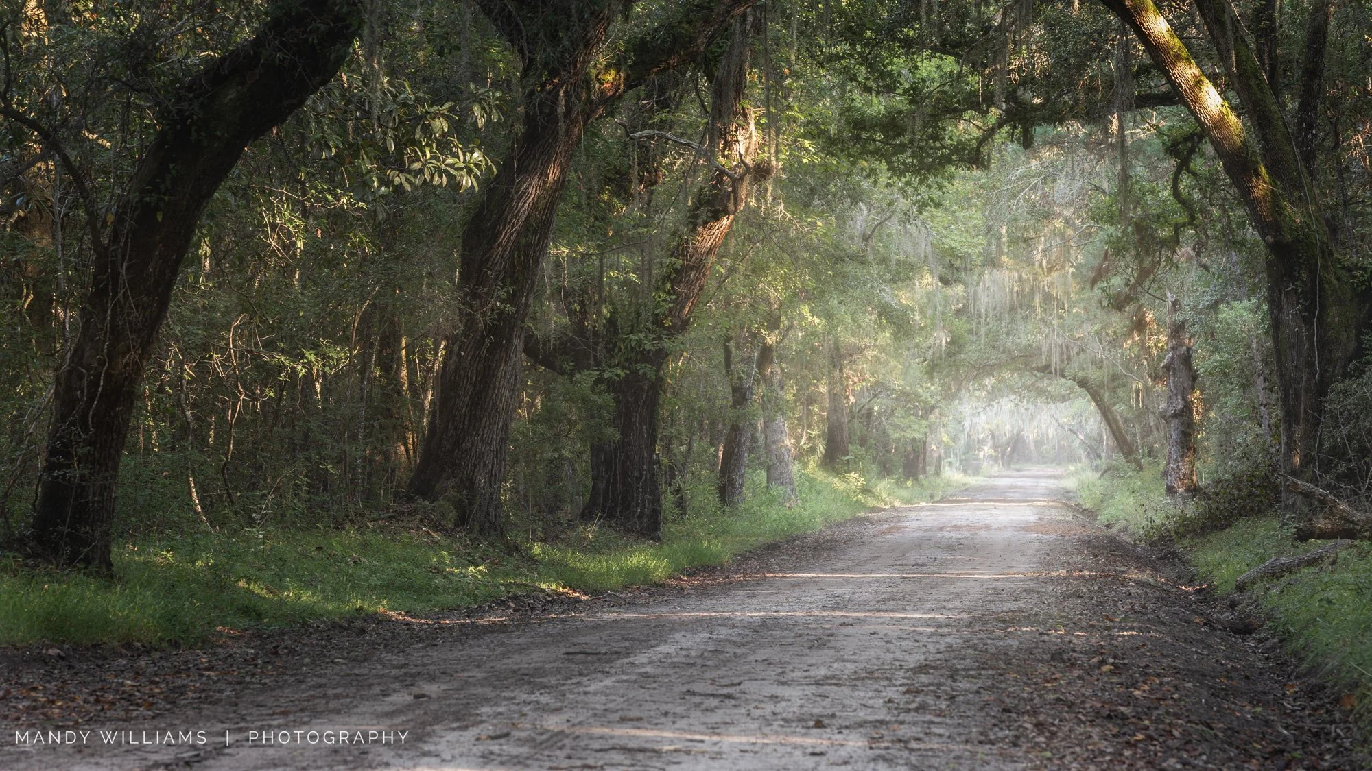 Quiet Roads