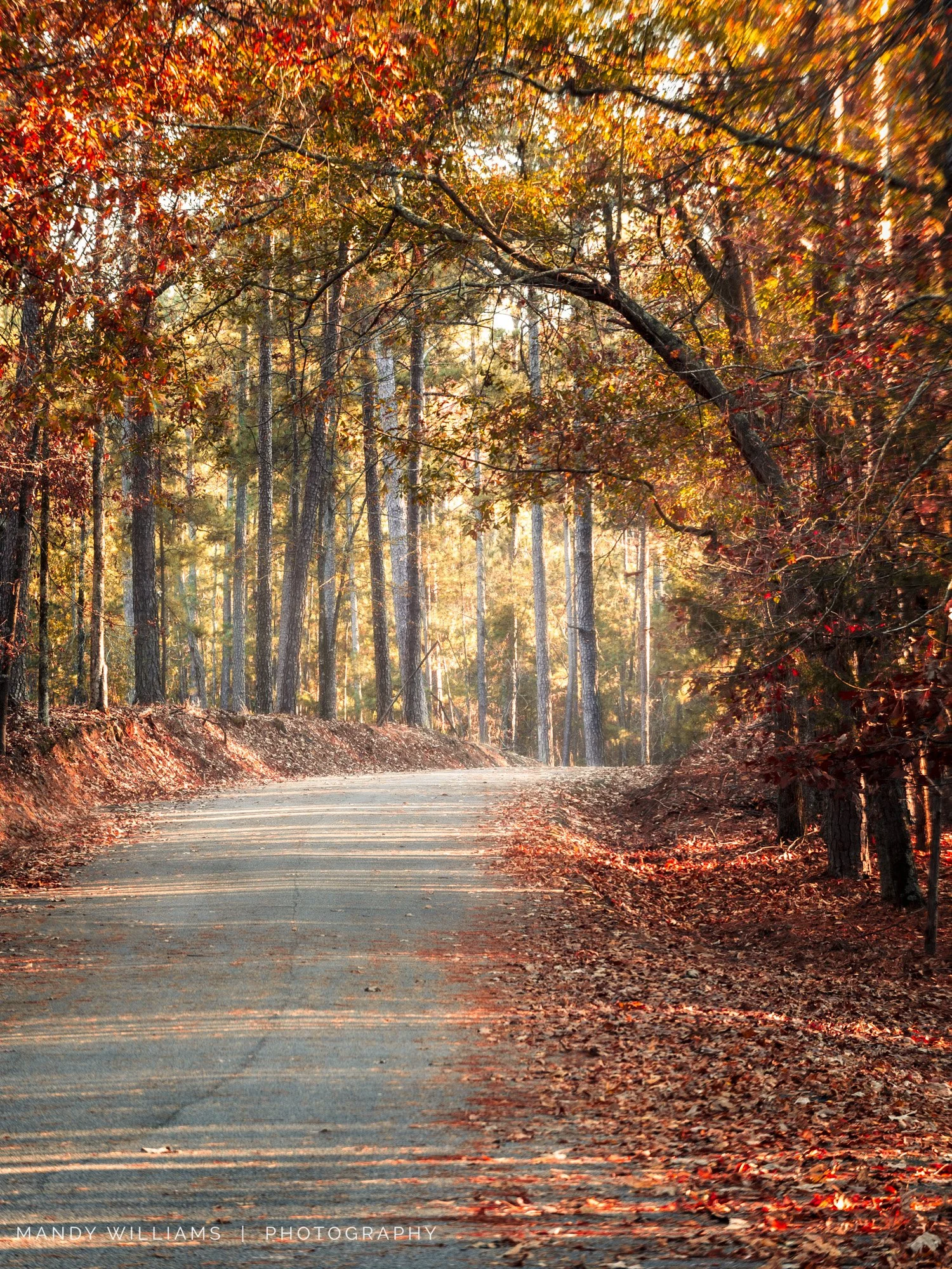 Seasons of change