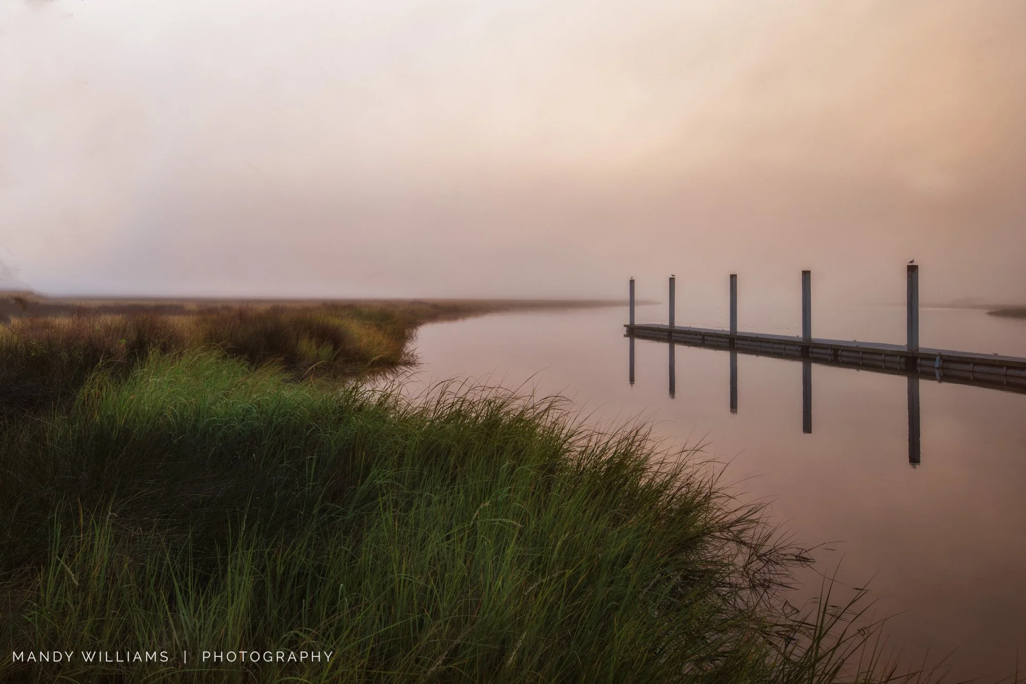 Stillness Embrace