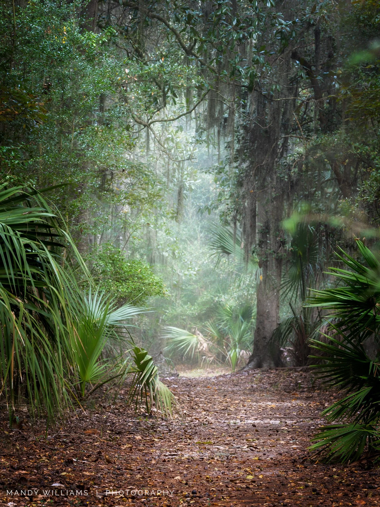 The Path Still Opens