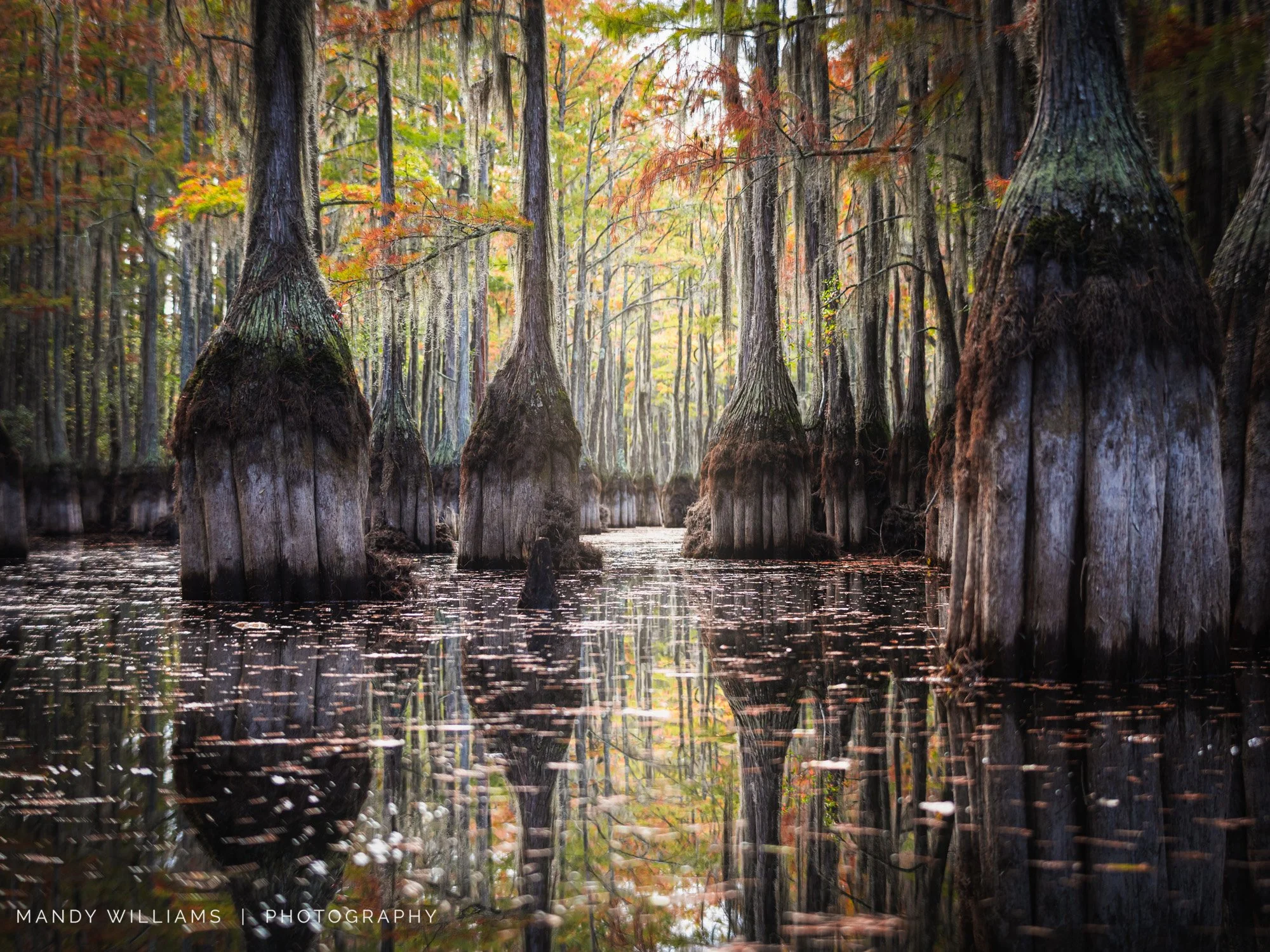 Where the Water Holds Its Breath